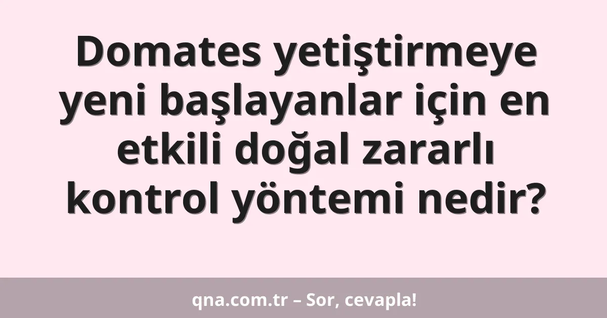 Domates yetiştirmeye yeni başlayanlar için en etkili doğal zararlı kontrol yöntemi nedir?
