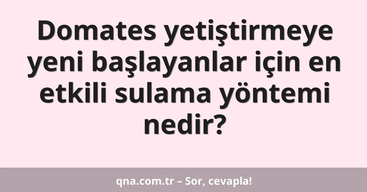 Domates yetiştirmeye yeni başlayanlar için en etkili sulama yöntemi nedir?