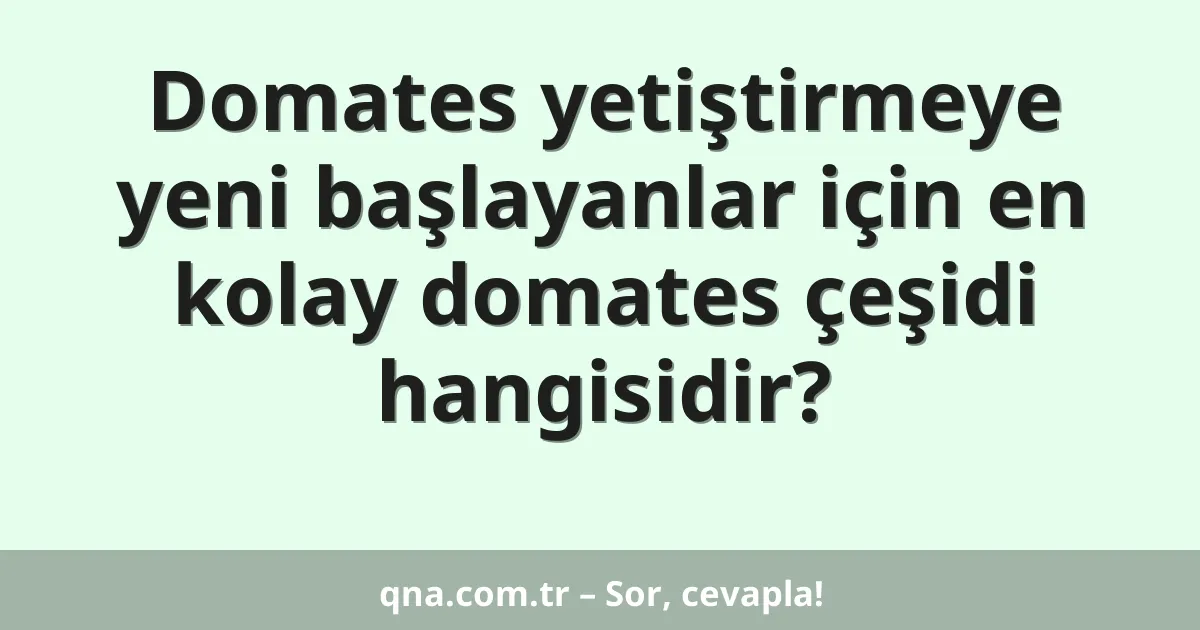 Domates yetiştirmeye yeni başlayanlar için en kolay domates çeşidi hangisidir?