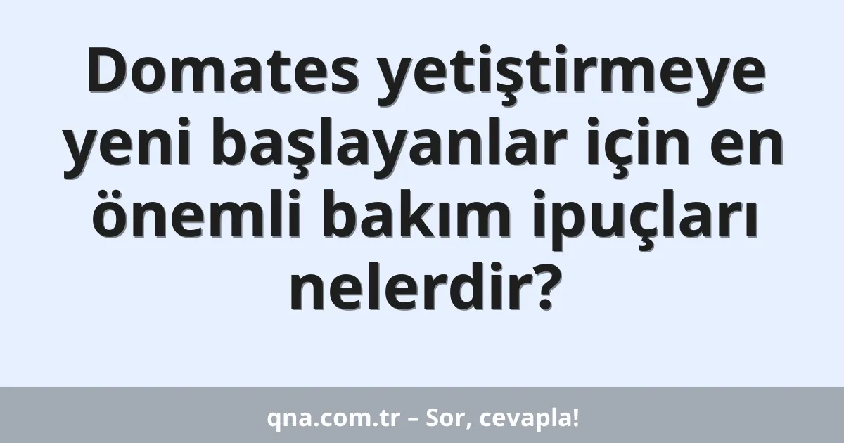 Domates yetiştirmeye yeni başlayanlar için en önemli bakım ipuçları nelerdir?