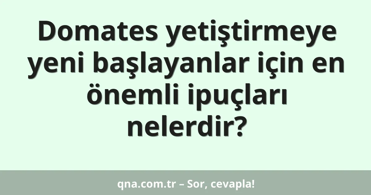 Domates yetiştirmeye yeni başlayanlar için en önemli ipuçları nelerdir?