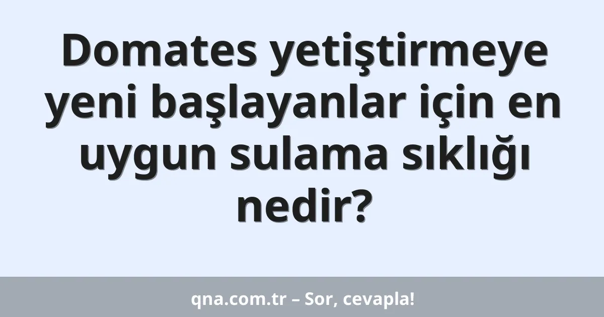 Domates yetiştirmeye yeni başlayanlar için en uygun sulama sıklığı nedir?