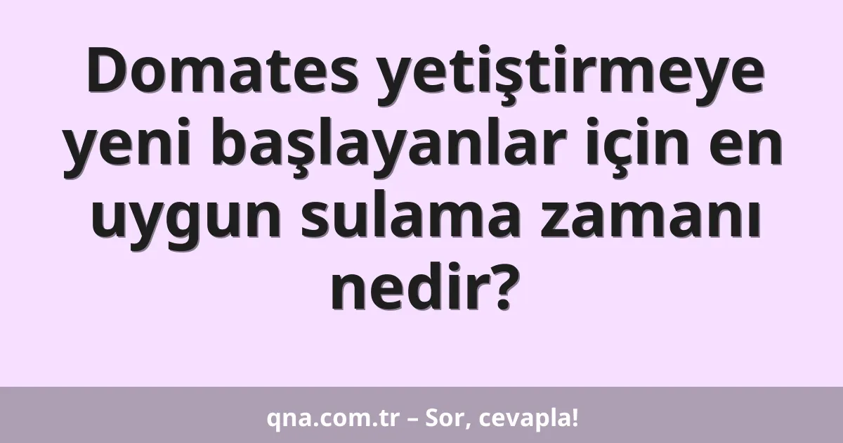 Domates yetiştirmeye yeni başlayanlar için en uygun sulama zamanı nedir?
