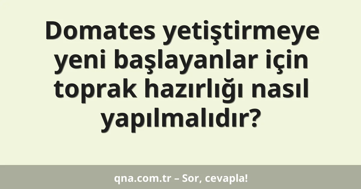 Domates yetiştirmeye yeni başlayanlar için toprak hazırlığı nasıl yapılmalıdır?