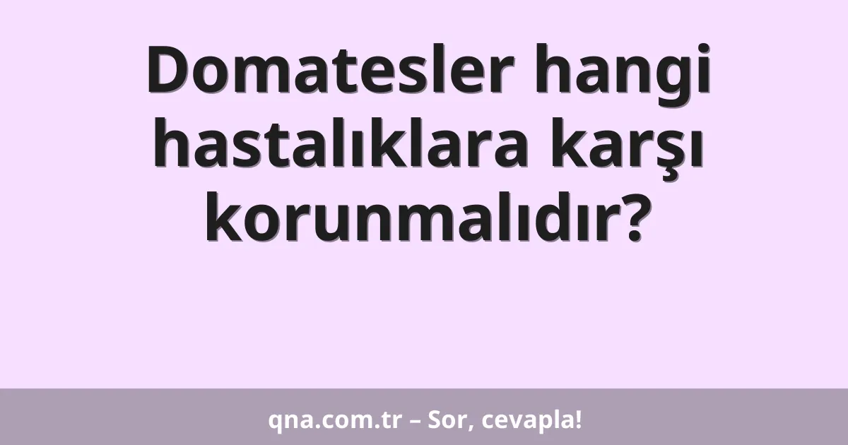 Domatesler hangi hastalıklara karşı korunmalıdır?