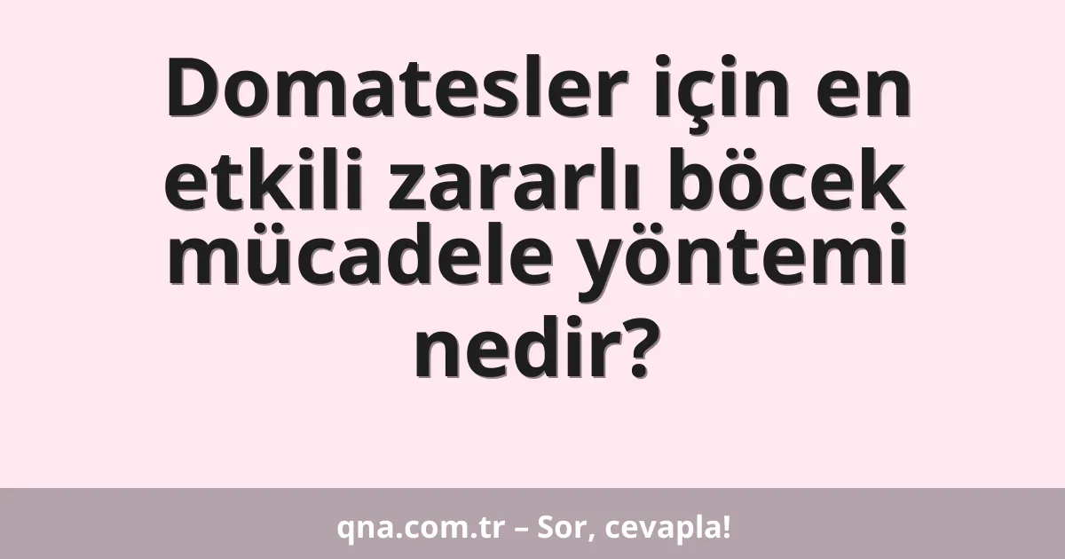 Domatesler için en etkili zararlı böcek mücadele yöntemi nedir?