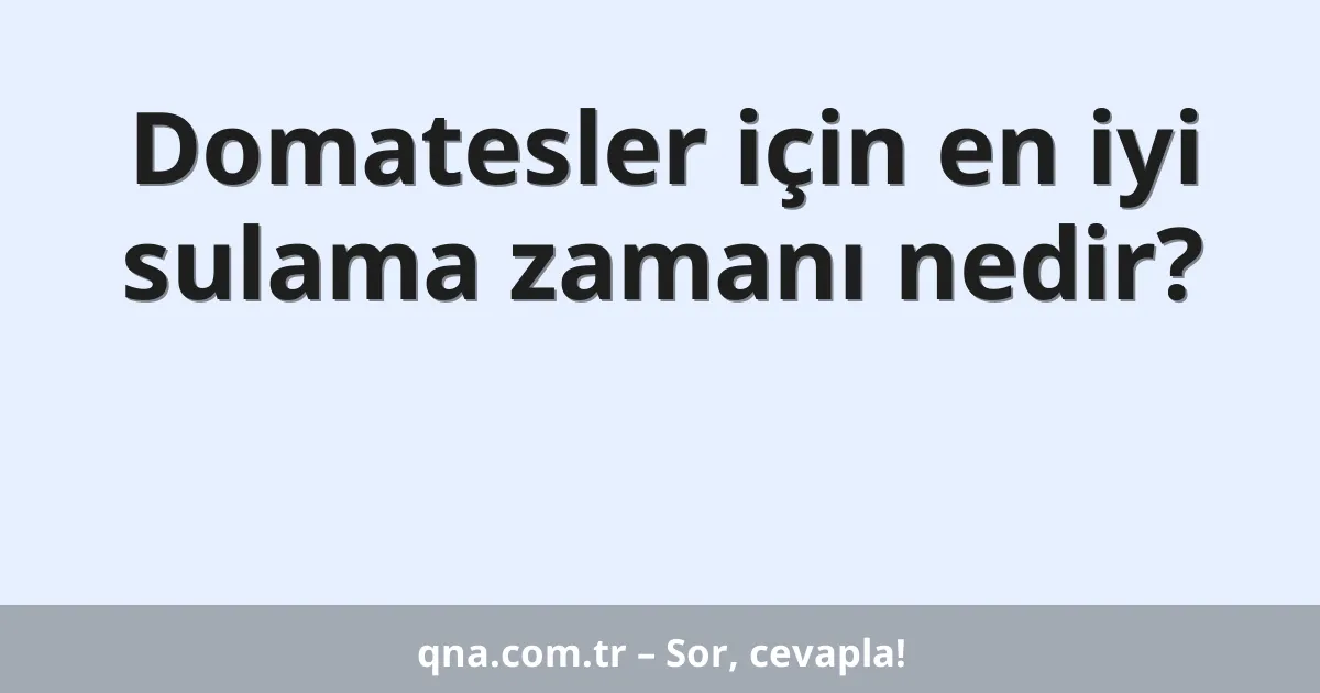 Domatesler için en iyi sulama zamanı nedir?
