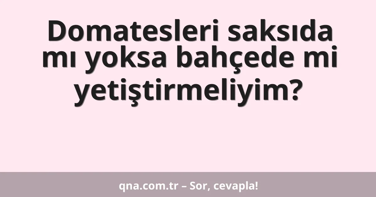 Domatesleri saksıda mı yoksa bahçede mi yetiştirmeliyim?