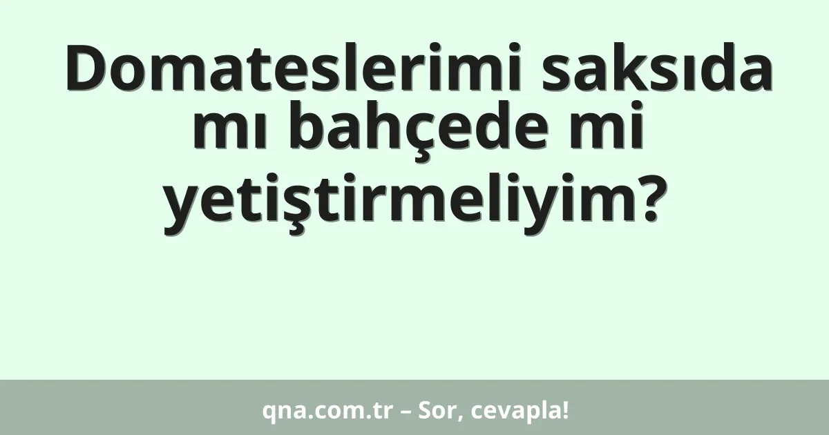 Domateslerimi saksıda mı bahçede mi yetiştirmeliyim?