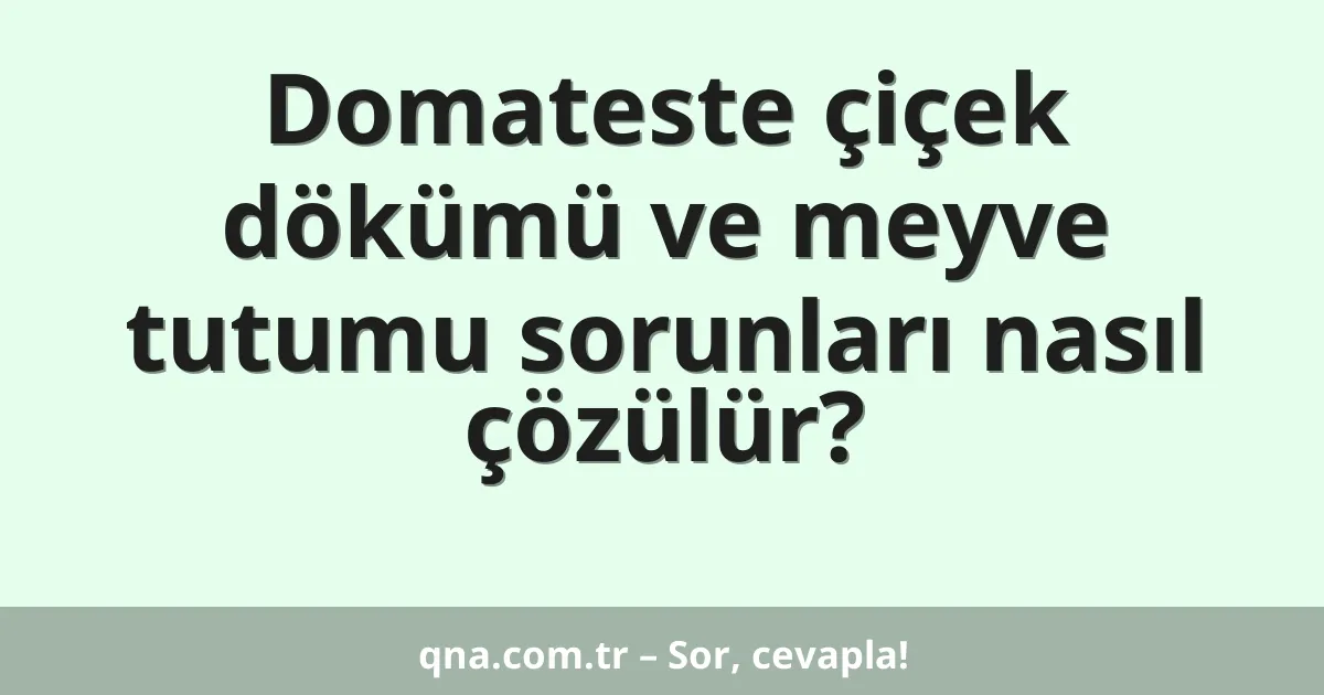 Domateste çiçek dökümü ve meyve tutumu sorunları nasıl çözülür?