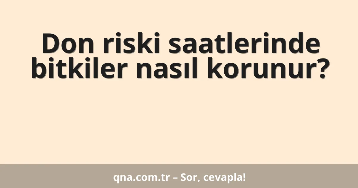 Don riski saatlerinde bitkiler nasıl korunur?