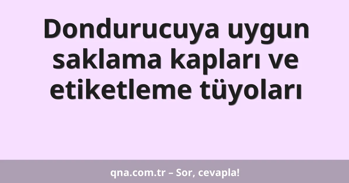 Dondurucuya uygun saklama kapları ve etiketleme tüyoları