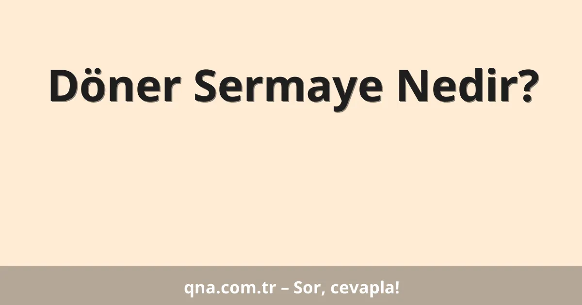 Döner Sermaye Nedir?