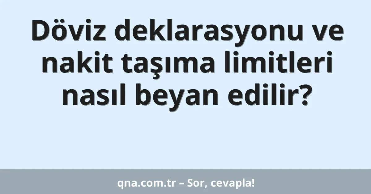 Döviz deklarasyonu ve nakit taşıma limitleri nasıl beyan edilir?
