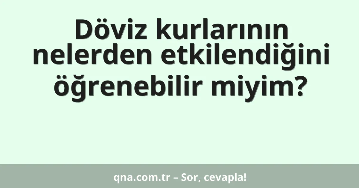 Döviz kurlarının nelerden etkilendiğini öğrenebilir miyim?