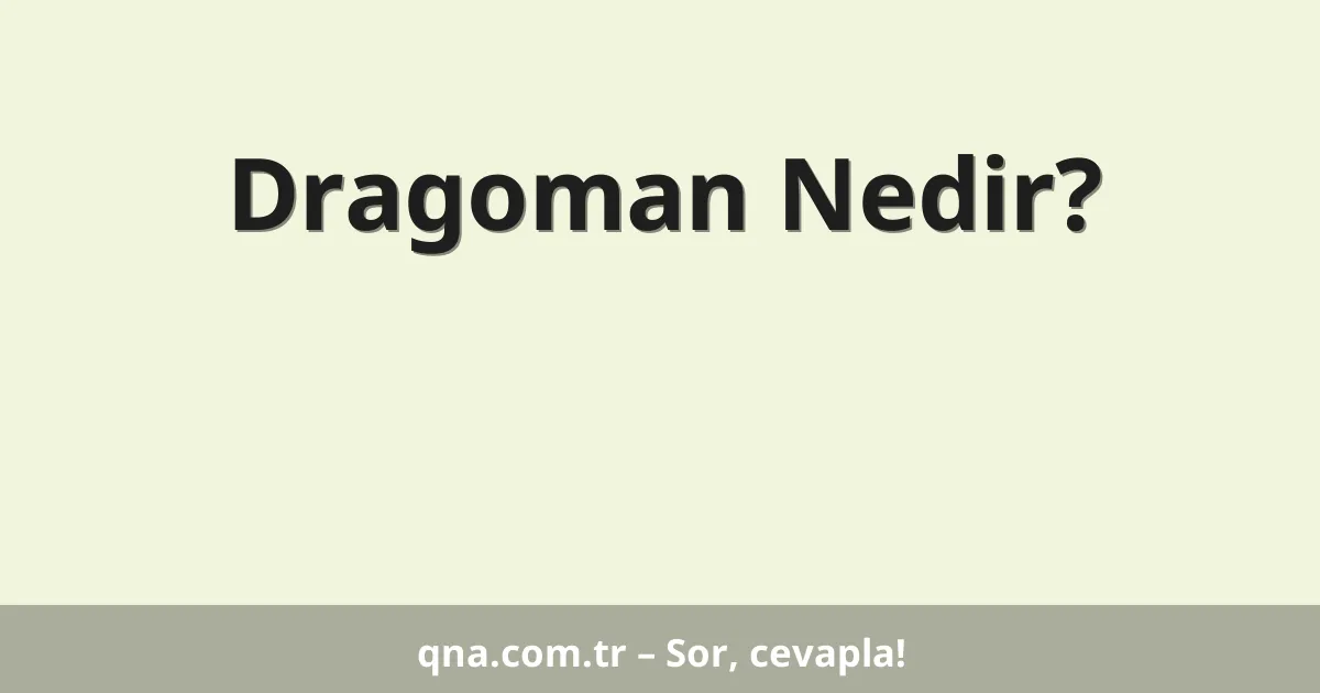 Dragoman Nedir?