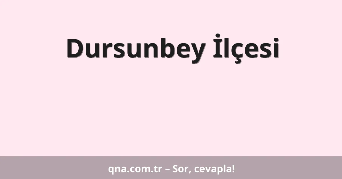 Dursunbey İlçesi