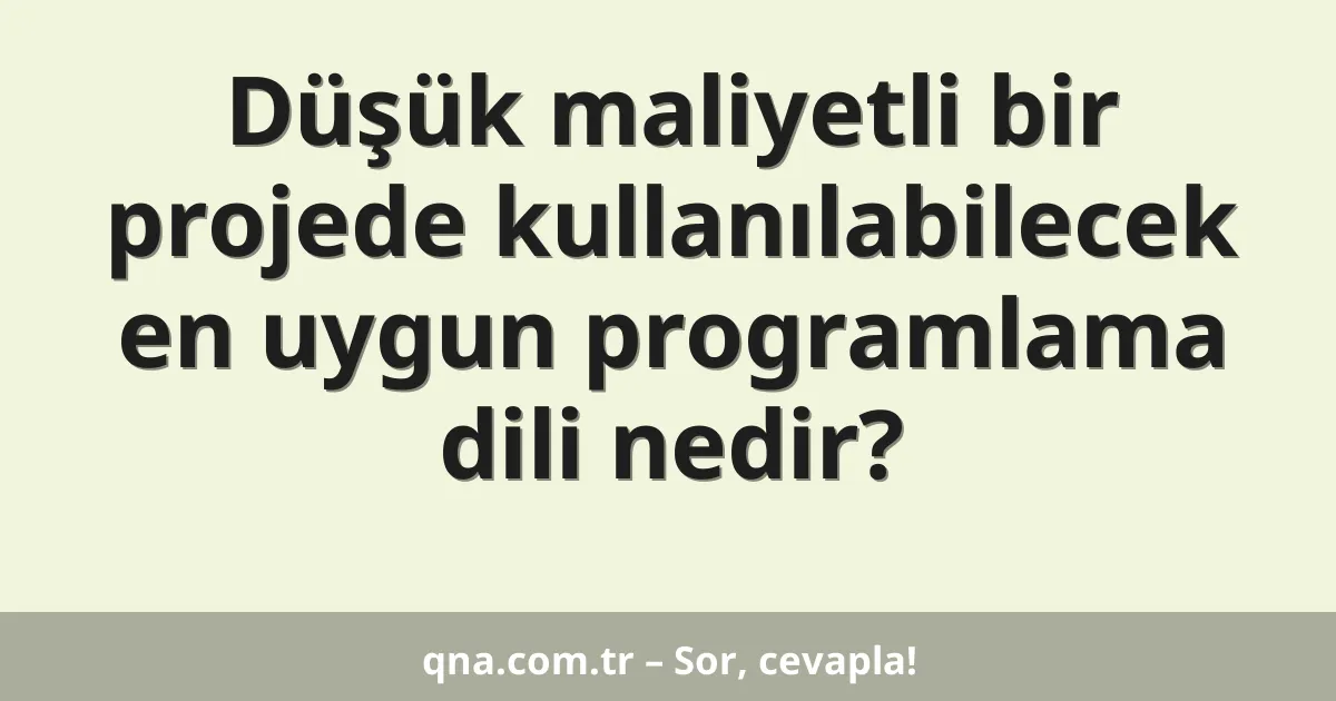 Düşük maliyetli bir projede kullanılabilecek en uygun programlama dili nedir?