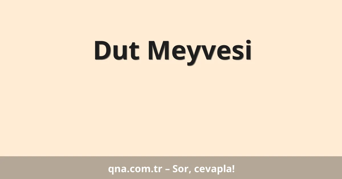 Dut Meyvesi