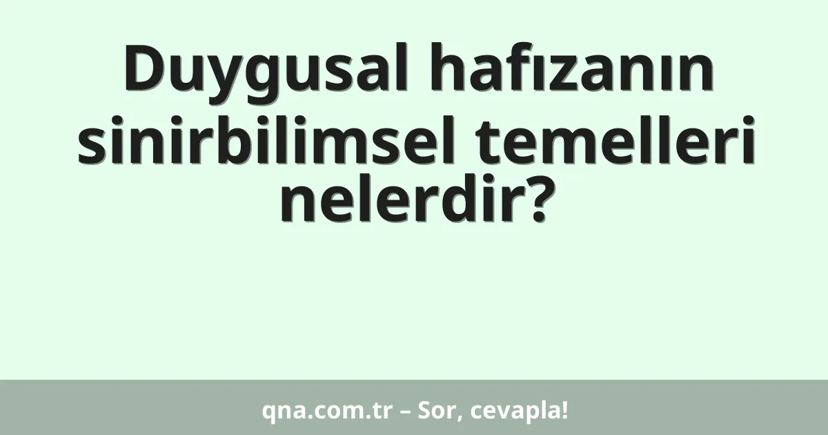 Duygusal hafızanın sinirbilimsel temelleri nelerdir?
