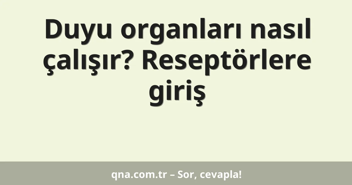 Duyu organları nasıl çalışır? Reseptörlere giriş