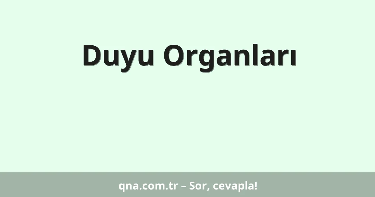 Duyu Organları