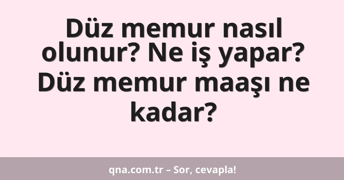Düz memur nasıl olunur? Ne iş yapar? Düz memur maaşı ne kadar?