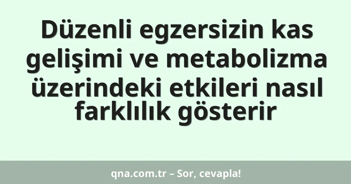 Düzenli egzersizin kas gelişimi ve metabolizma üzerindeki etkileri nasıl farklılık gösterir
