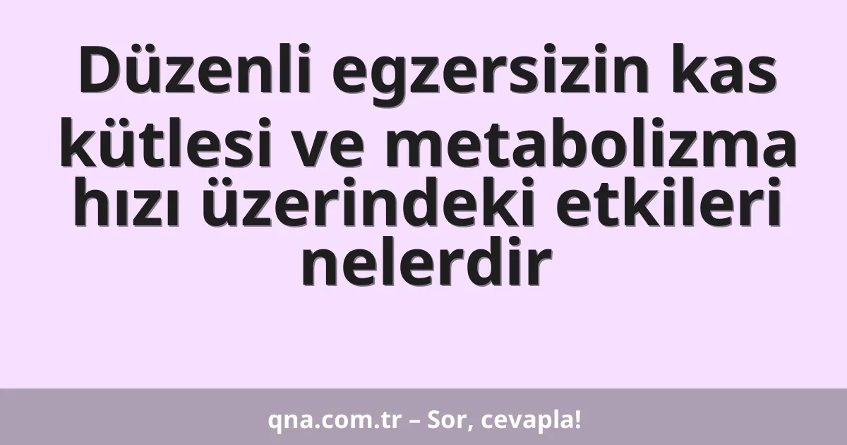 Düzenli egzersizin kas kütlesi ve metabolizma hızı üzerindeki etkileri nelerdir