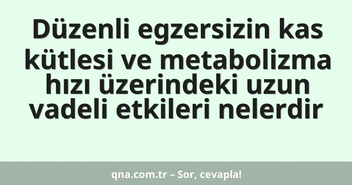 Düzenli egzersizin kas kütlesi ve metabolizma hızı üzerindeki uzun vadeli etkileri nelerdir