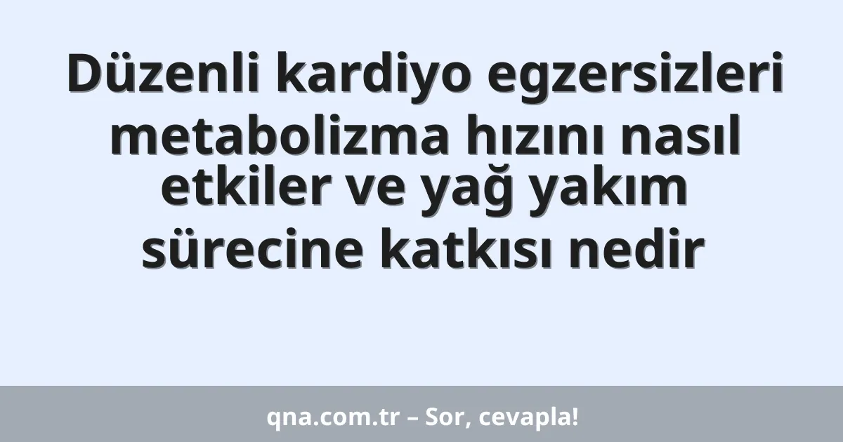 Düzenli kardiyo egzersizleri metabolizma hızını nasıl etkiler ve yağ yakım sürecine katkısı nedir