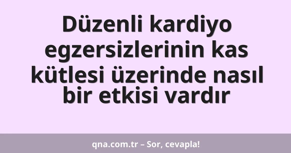 Düzenli kardiyo egzersizlerinin kas kütlesi üzerinde nasıl bir etkisi vardır