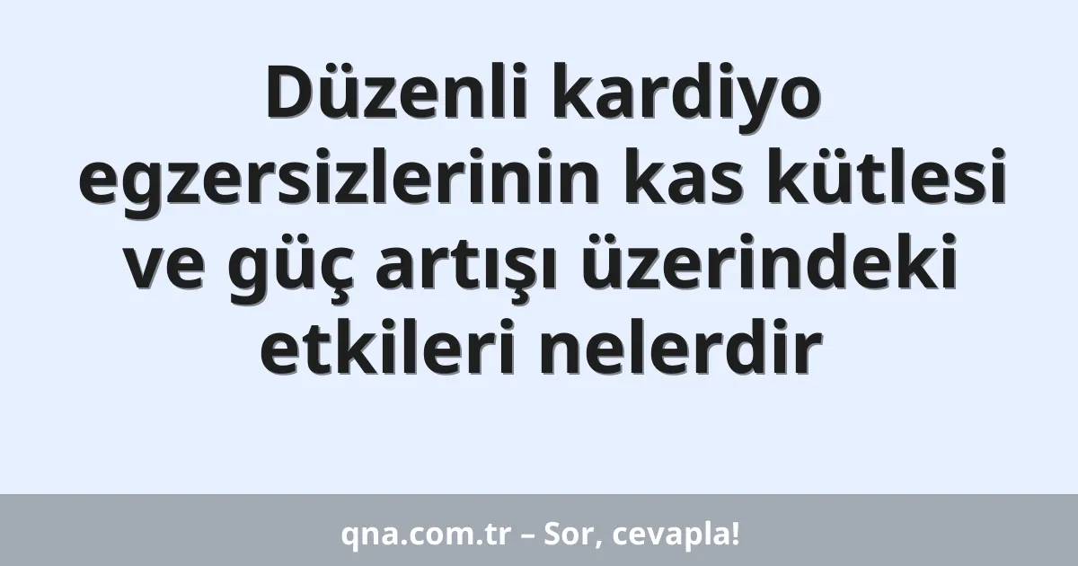 Düzenli kardiyo egzersizlerinin kas kütlesi ve güç artışı üzerindeki etkileri nelerdir