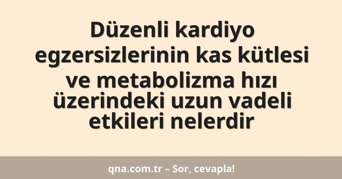 Düzenli kardiyo egzersizlerinin kas kütlesi ve metabolizma hızı üzerindeki uzun vadeli etkileri nelerdir