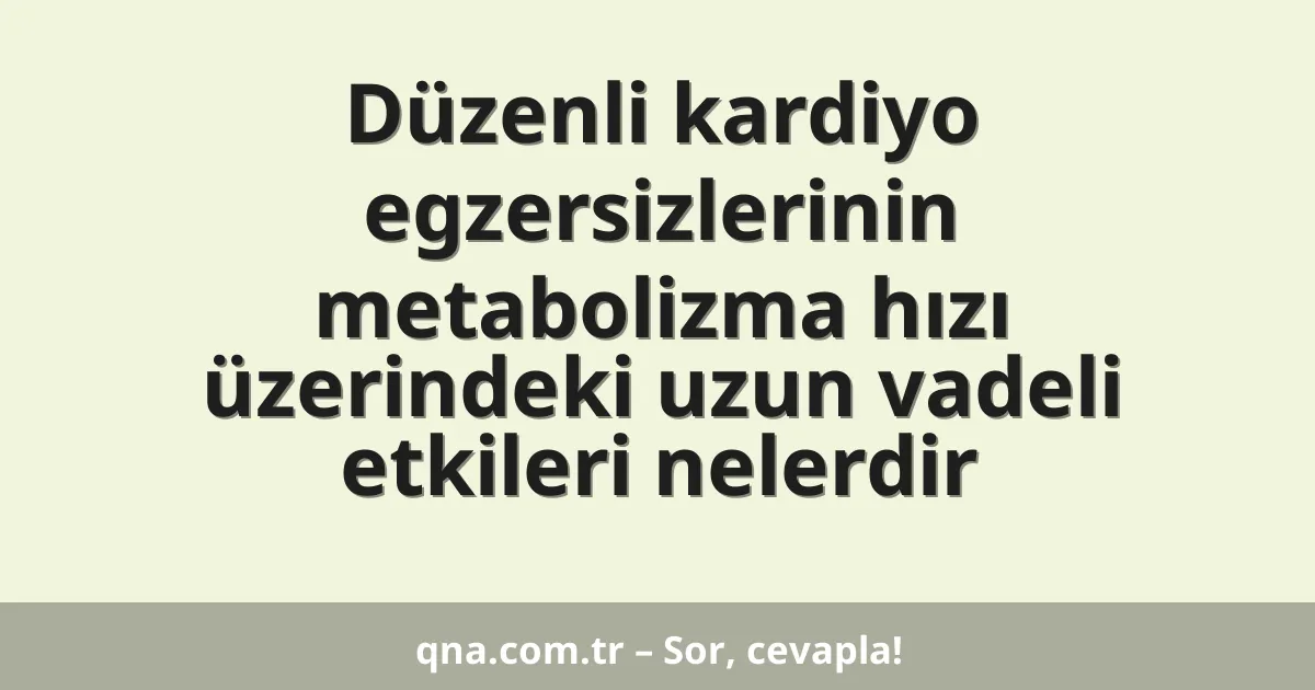 Düzenli kardiyo egzersizlerinin metabolizma hızı üzerindeki uzun vadeli etkileri nelerdir