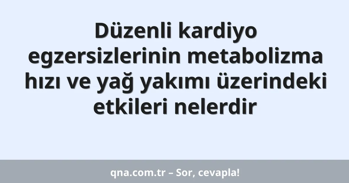 Düzenli kardiyo egzersizlerinin metabolizma hızı ve yağ yakımı üzerindeki etkileri nelerdir