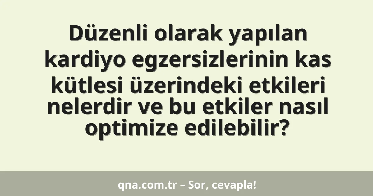 Düzenli olarak yapılan kardiyo egzersizlerinin kas kütlesi üzerindeki etkileri nelerdir ve bu etkiler nasıl optimize edilebilir?