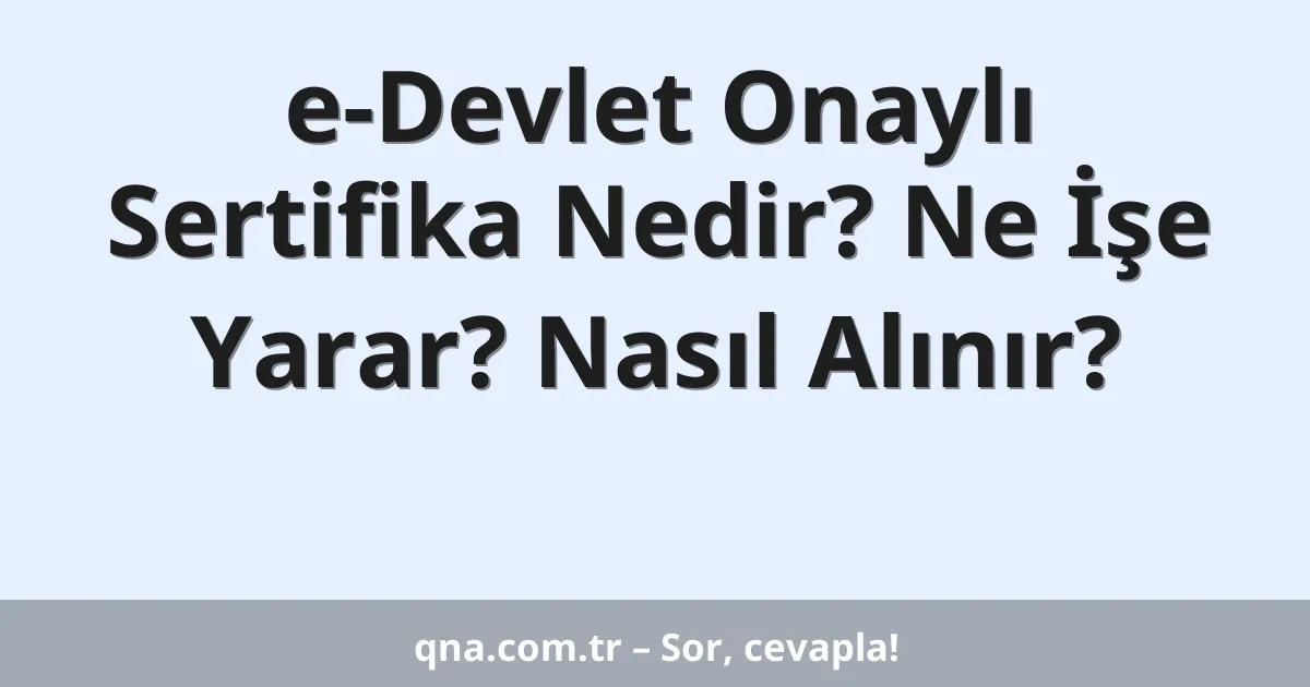 e-Devlet Onaylı Sertifika Nedir? Ne İşe Yarar? Nasıl Alınır?