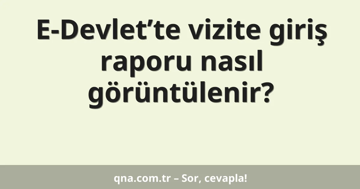E-Devlet’te vizite giriş raporu nasıl görüntülenir?