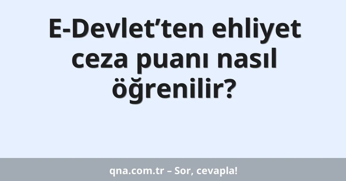 E-Devlet’ten ehliyet ceza puanı nasıl öğrenilir?