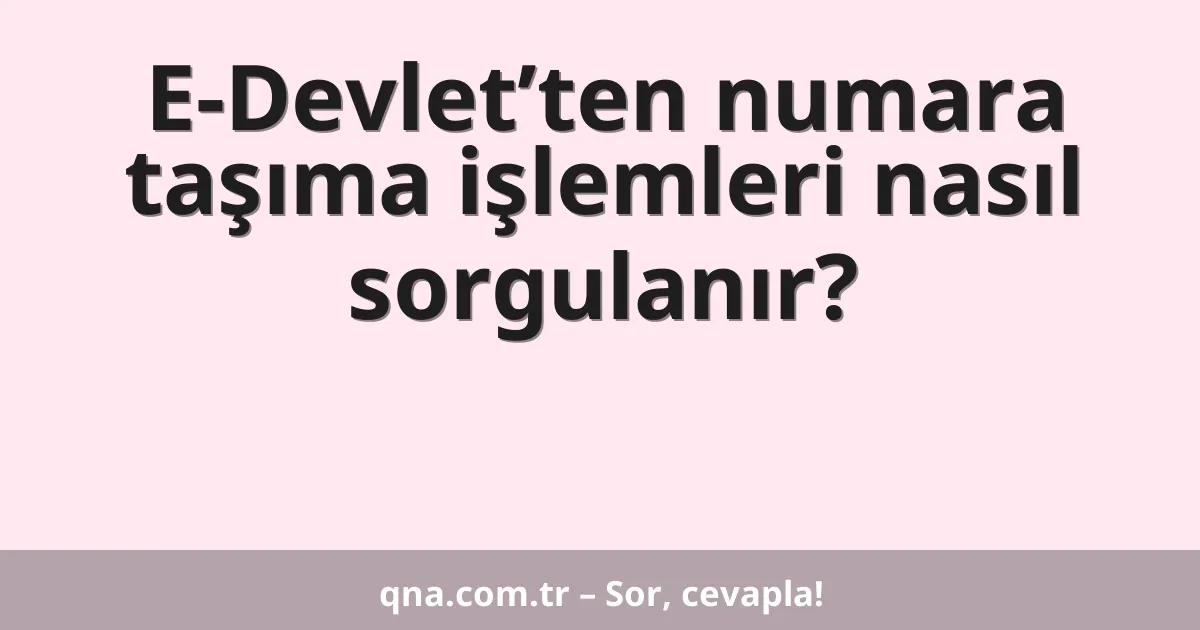 E-Devlet’ten numara taşıma işlemleri nasıl sorgulanır?