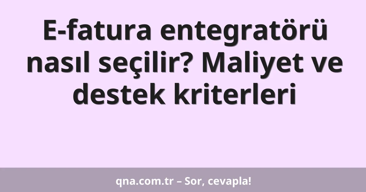 E-fatura entegratörü nasıl seçilir? Maliyet ve destek kriterleri