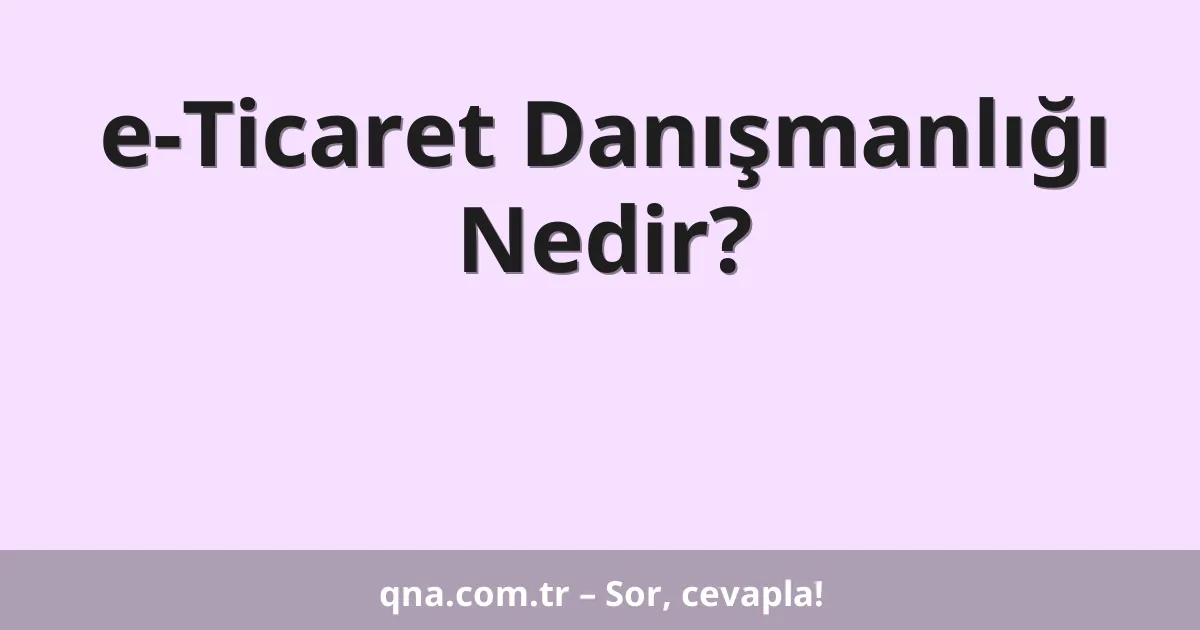 e-Ticaret Danışmanlığı Nedir?