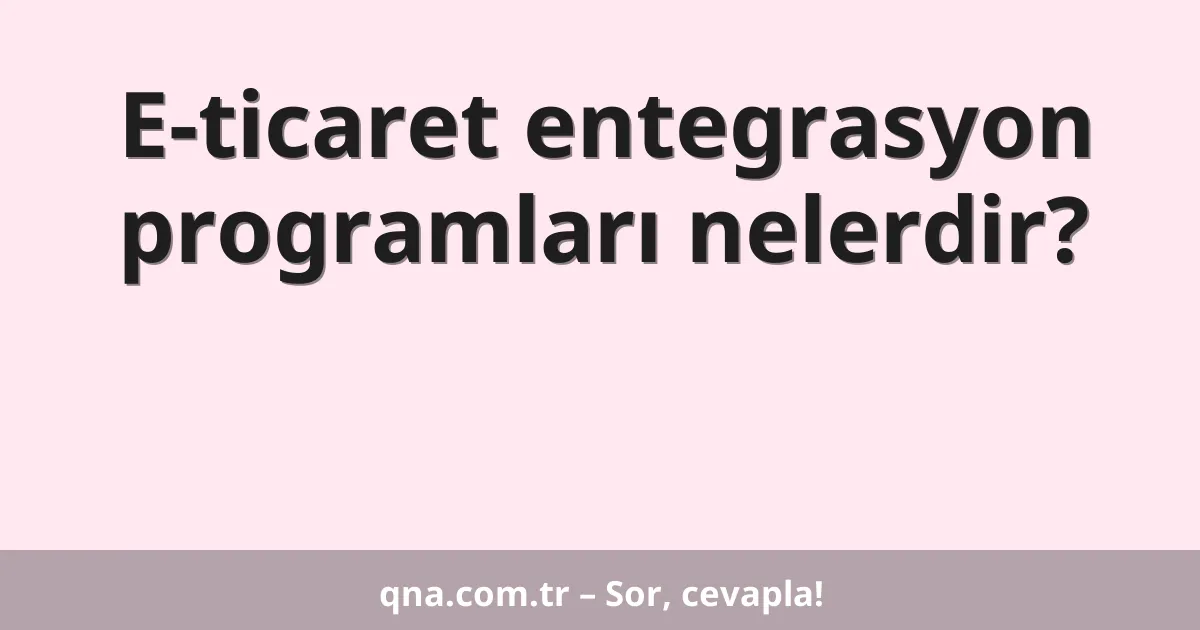 E-ticaret entegrasyon programları nelerdir?