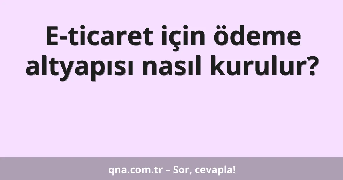 E-ticaret için ödeme altyapısı nasıl kurulur?