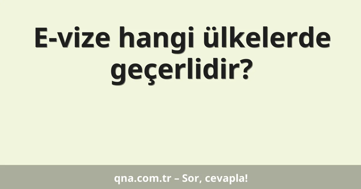 E-vize hangi ülkelerde geçerlidir?