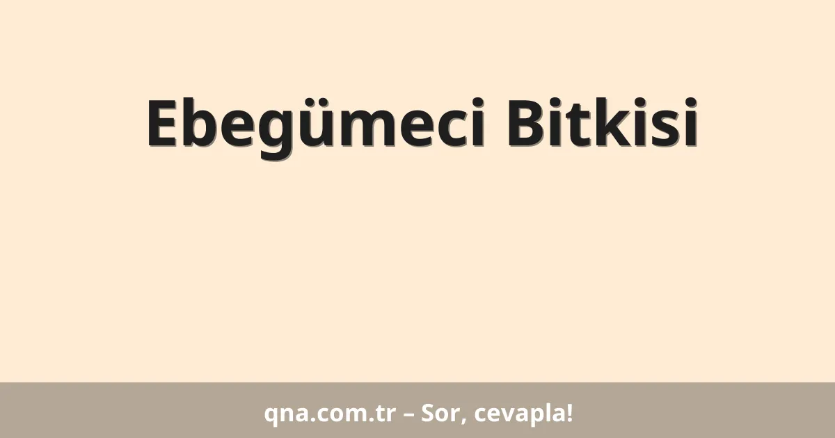 Ebegümeci Bitkisi
