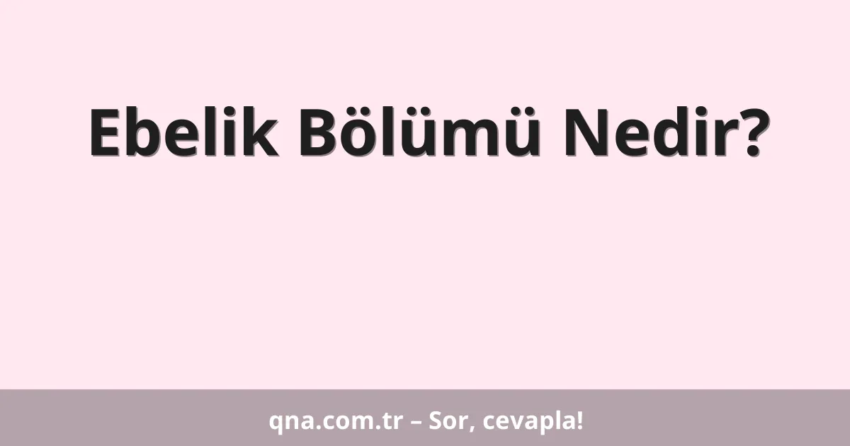 Ebelik Bölümü Nedir?