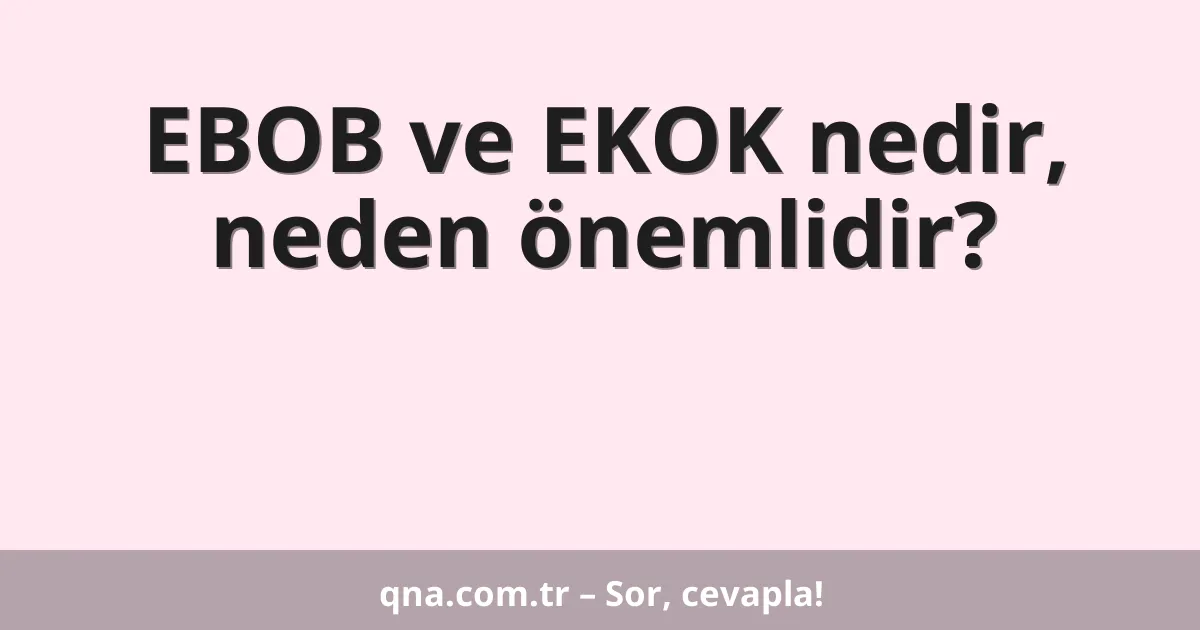 EBOB ve EKOK nedir, neden önemlidir?
