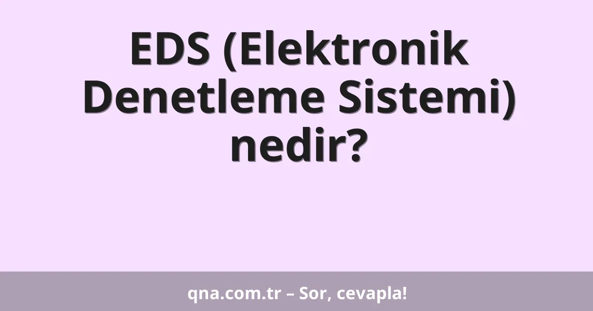EDS (Elektronik Denetleme Sistemi) nedir?
